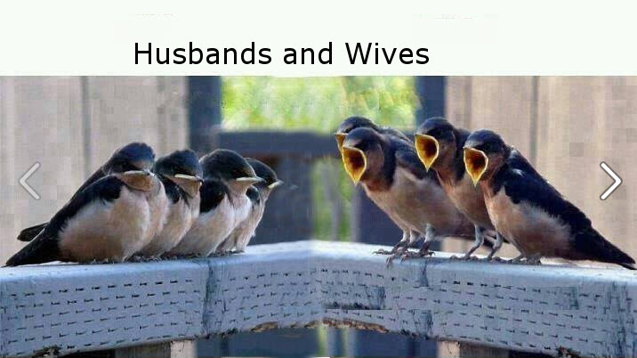 men vs women