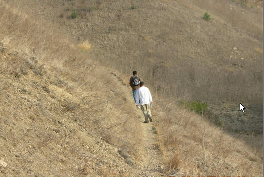 nice trail